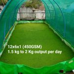 Azolla Bag 12x6x1 Feet