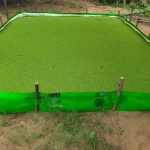 Asolla Bag Size 12x10x1 Feet