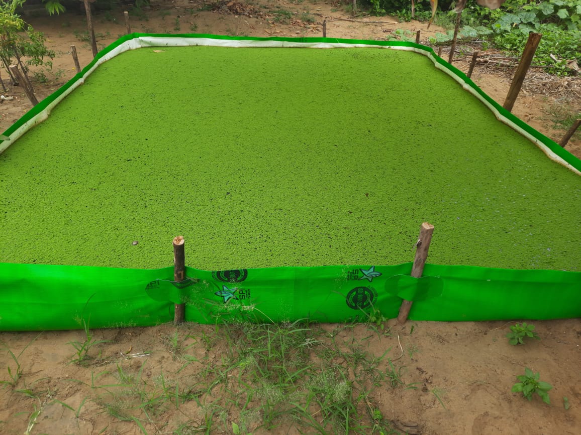 IMG-20211001-WA0006.jpg Asolla Bag Size 12x10x1 Feet - Image 1